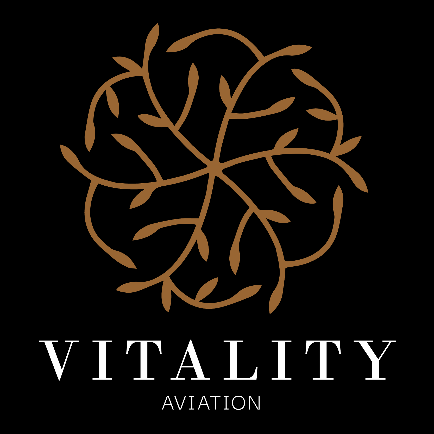 Vitality Aviation